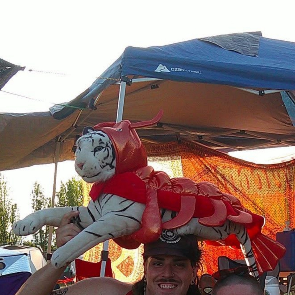 Pet Costume Halloween Metallic Scarlet Lobster Crawdad Crustacean Velcro Dog XL